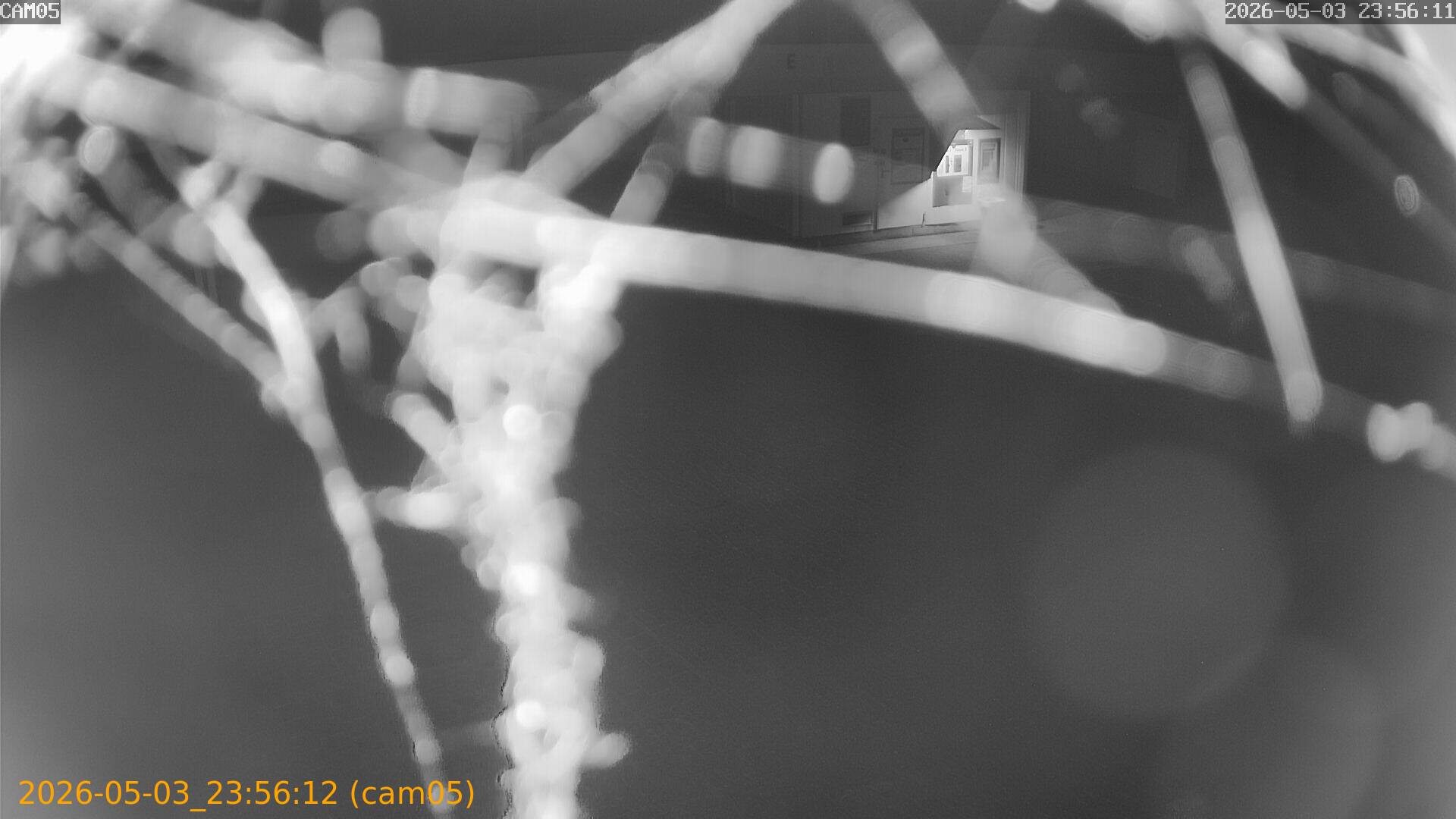 thumbnail_20260503235612