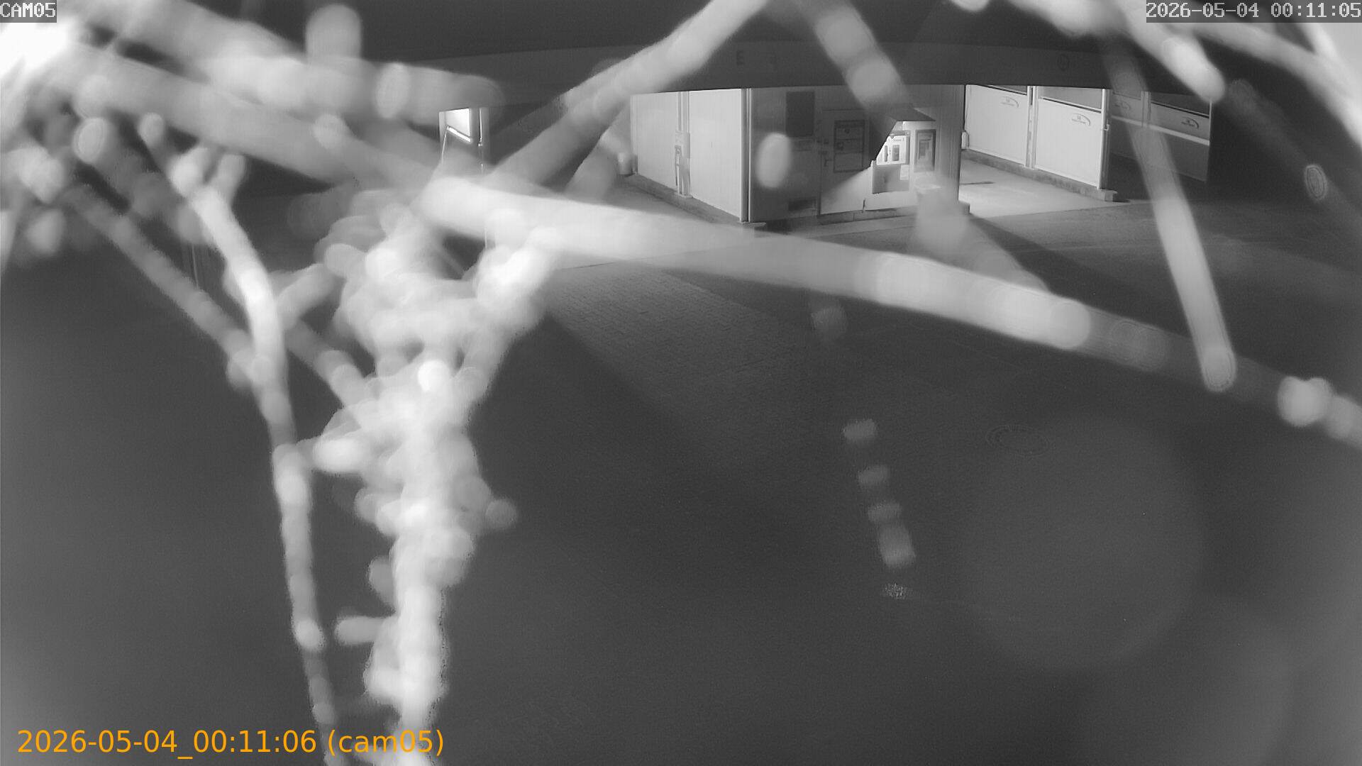 20260504001106