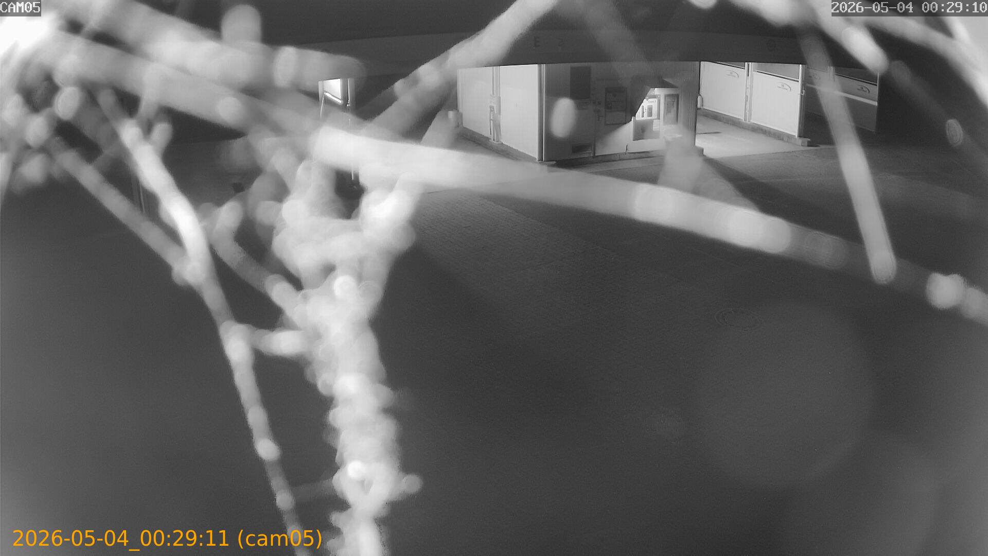20260504002911
