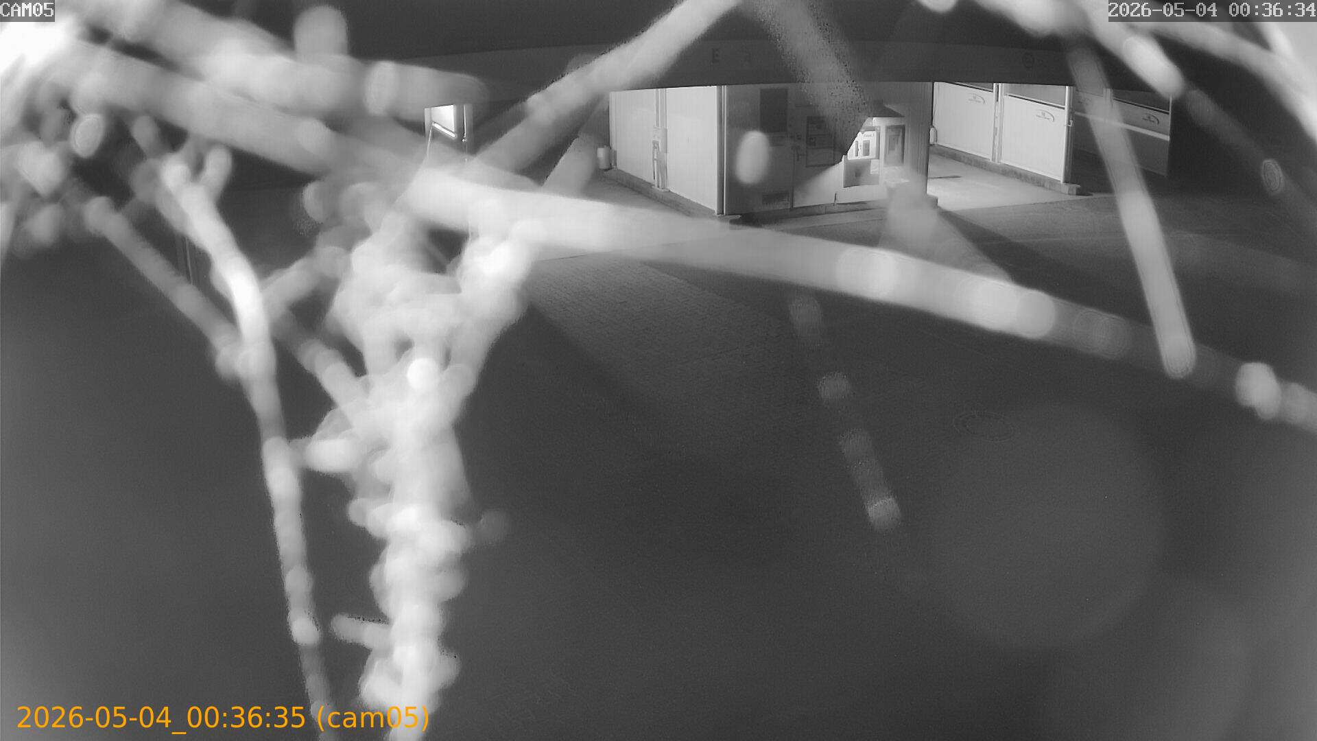 thumbnail_20260504003635