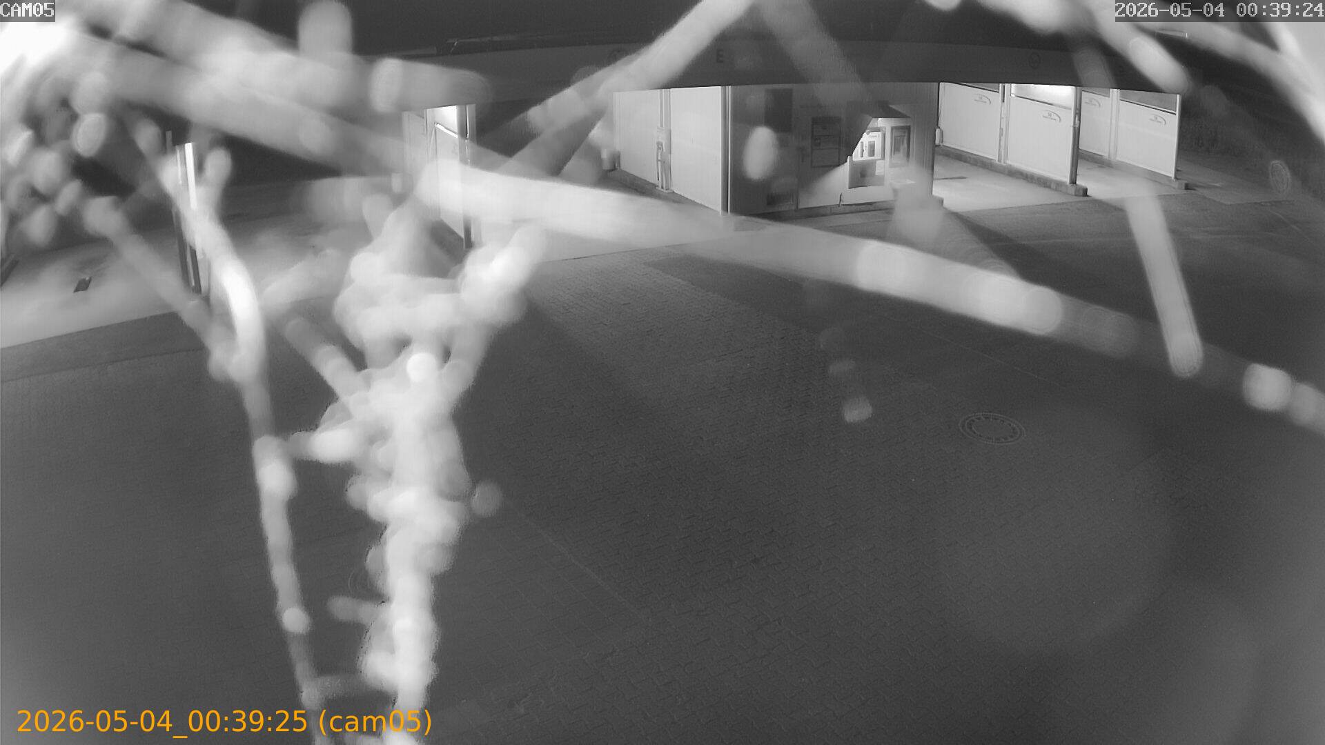 20260504003925