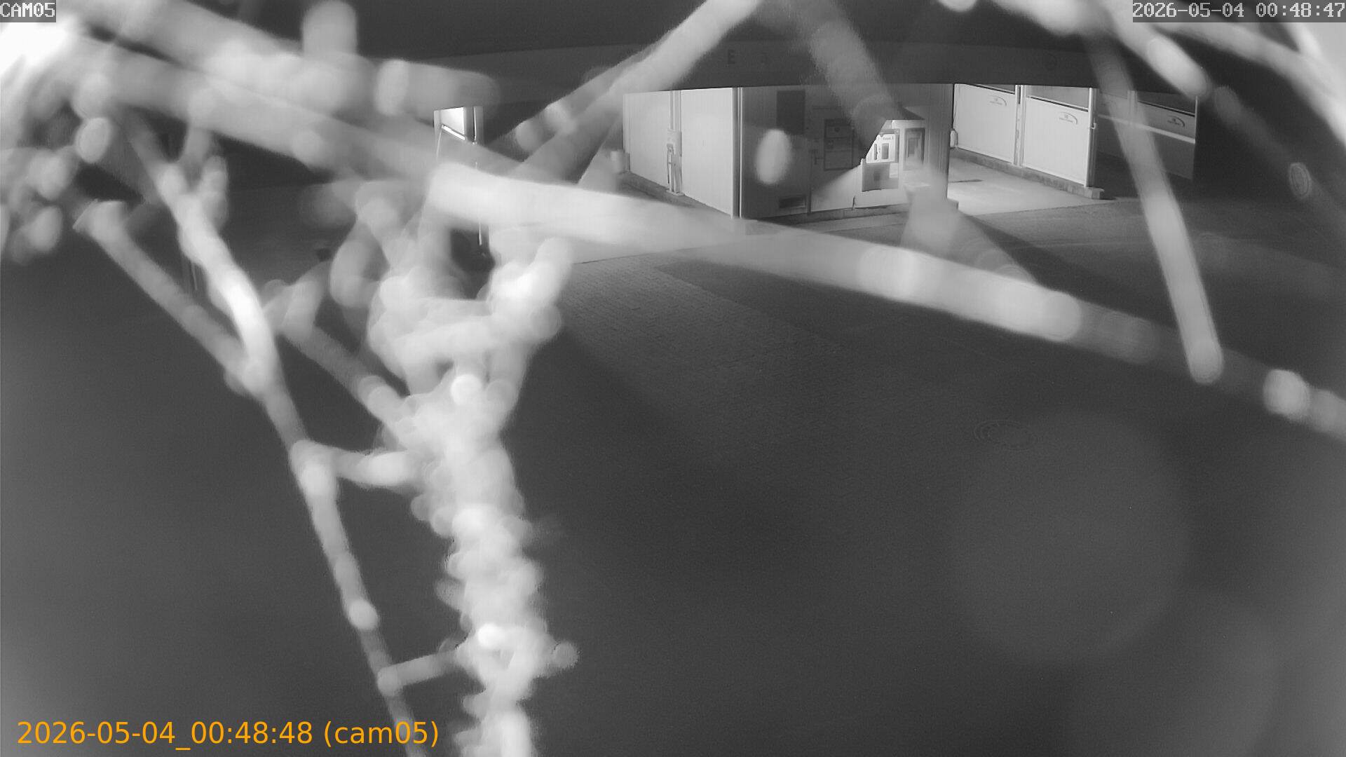 20260504004848