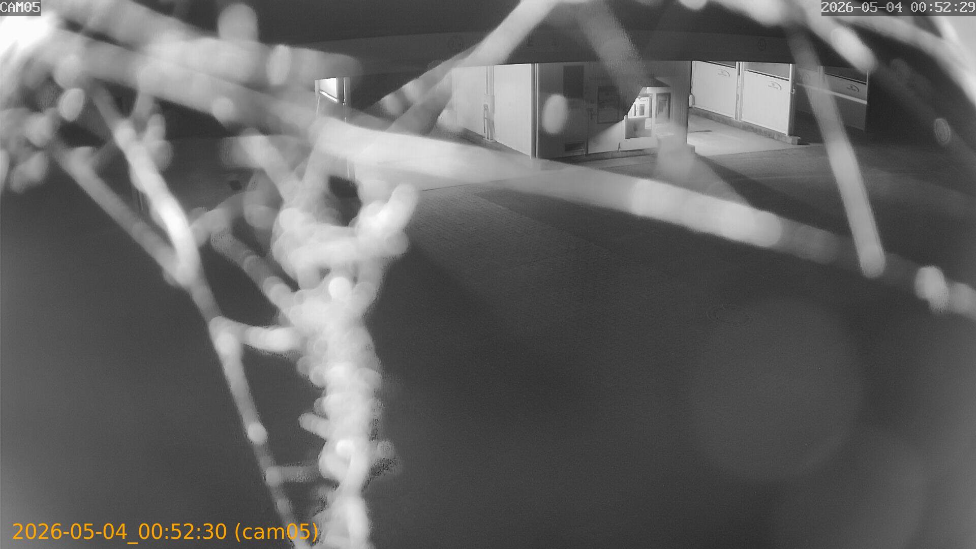 20260504005230
