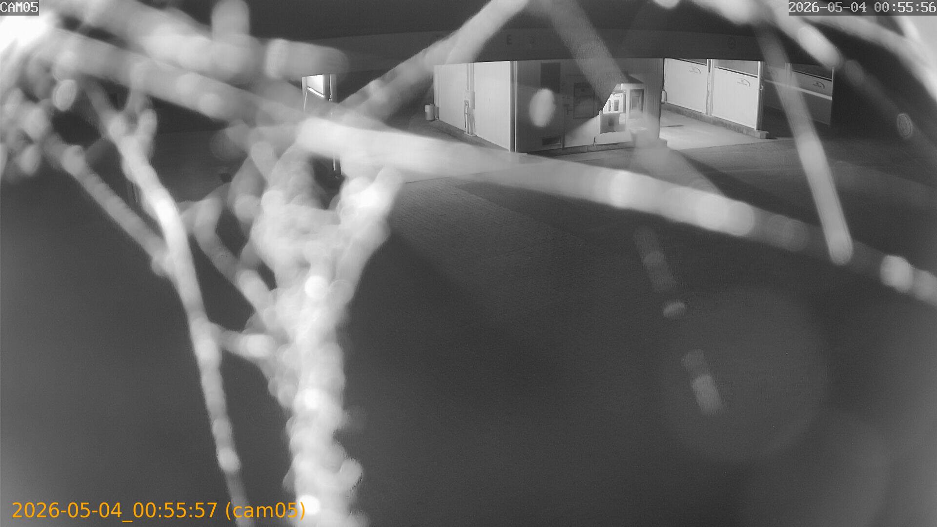 thumbnail_20260504005557