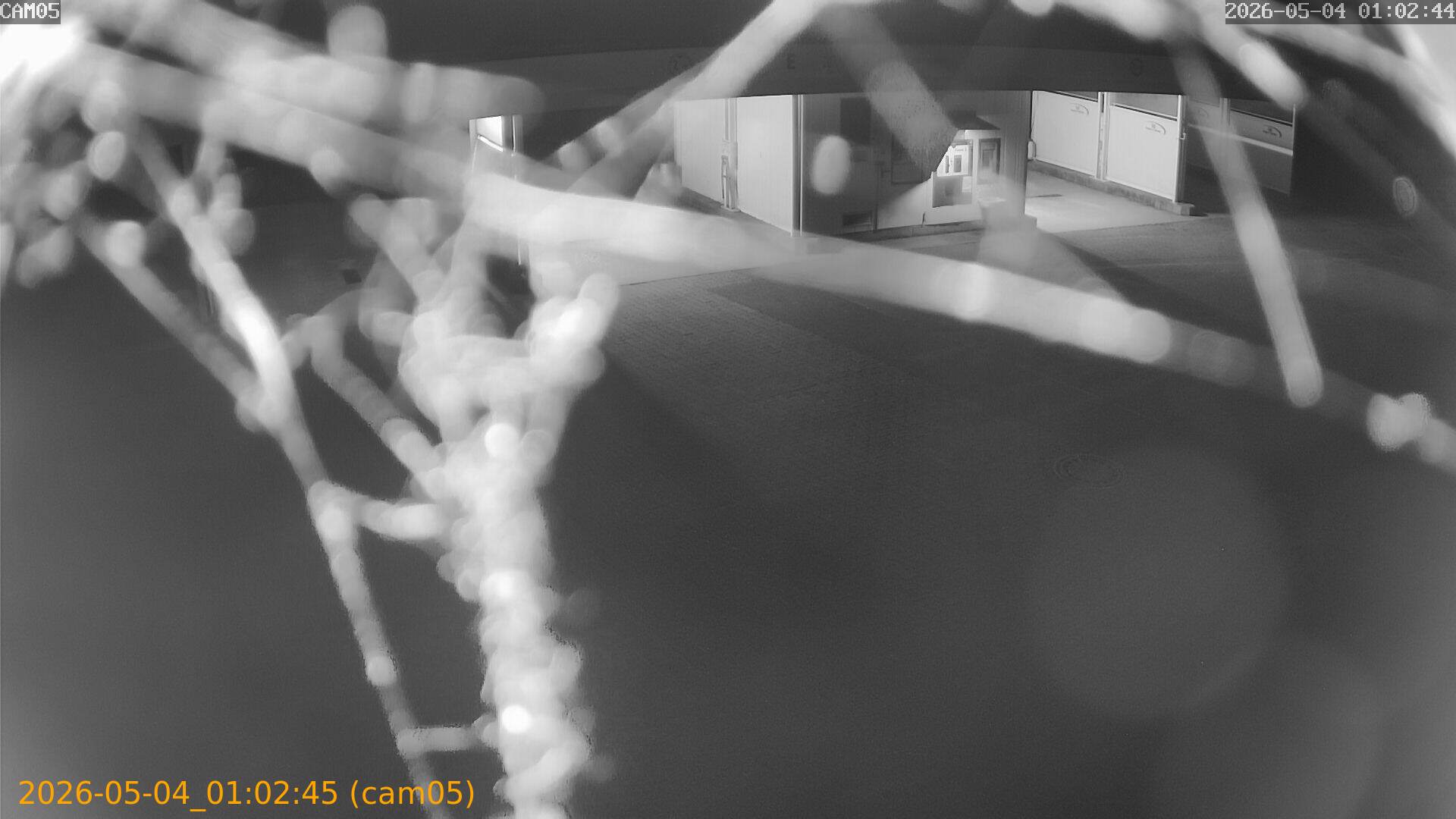 20260504010245