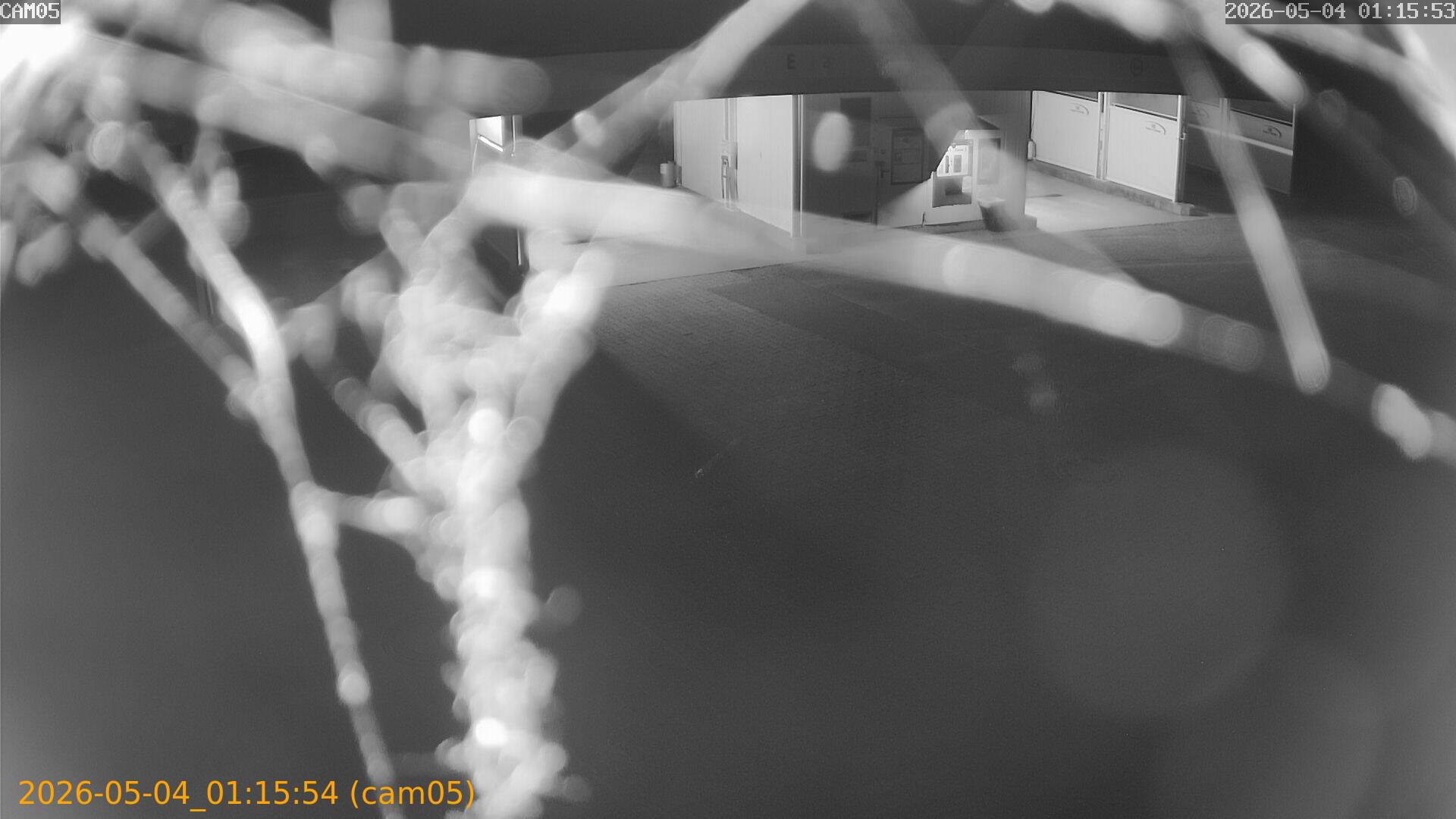 thumbnail_20260504011554