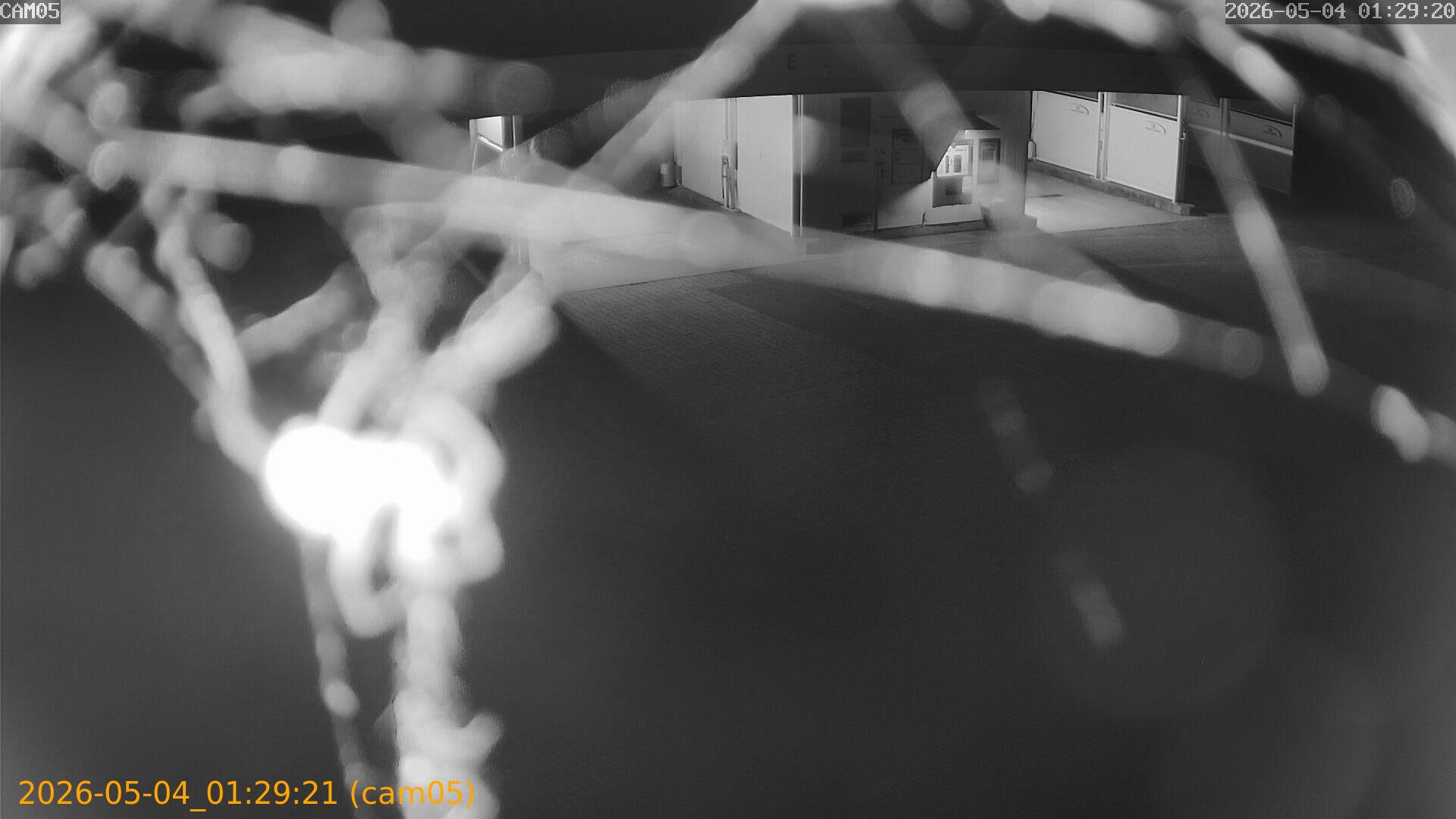 20260504012921