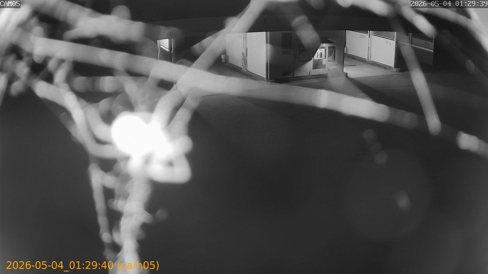 thumbnail_20260504012940