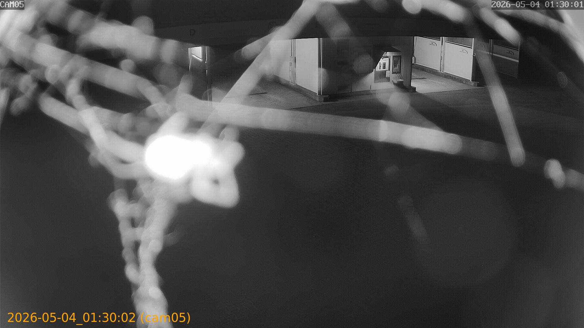 thumbnail_20260504013002