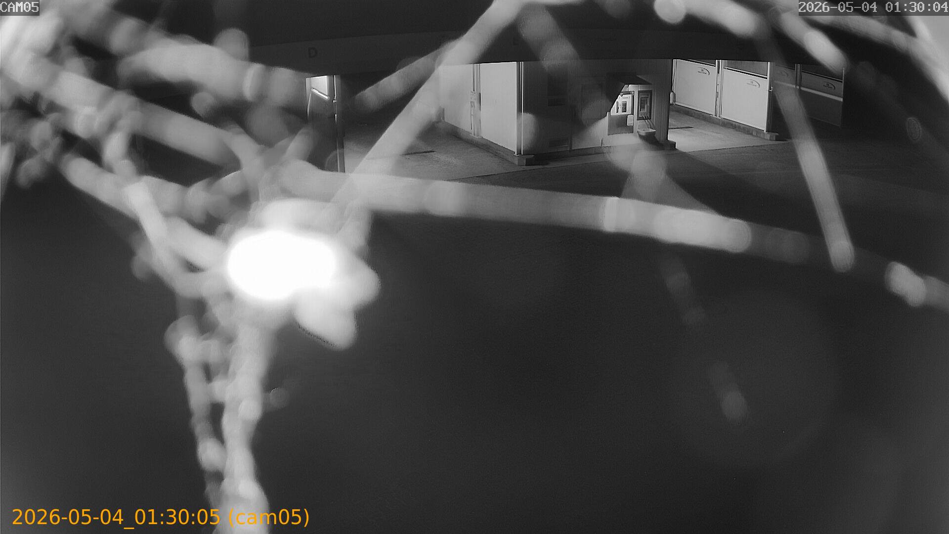 thumbnail_20260504013005
