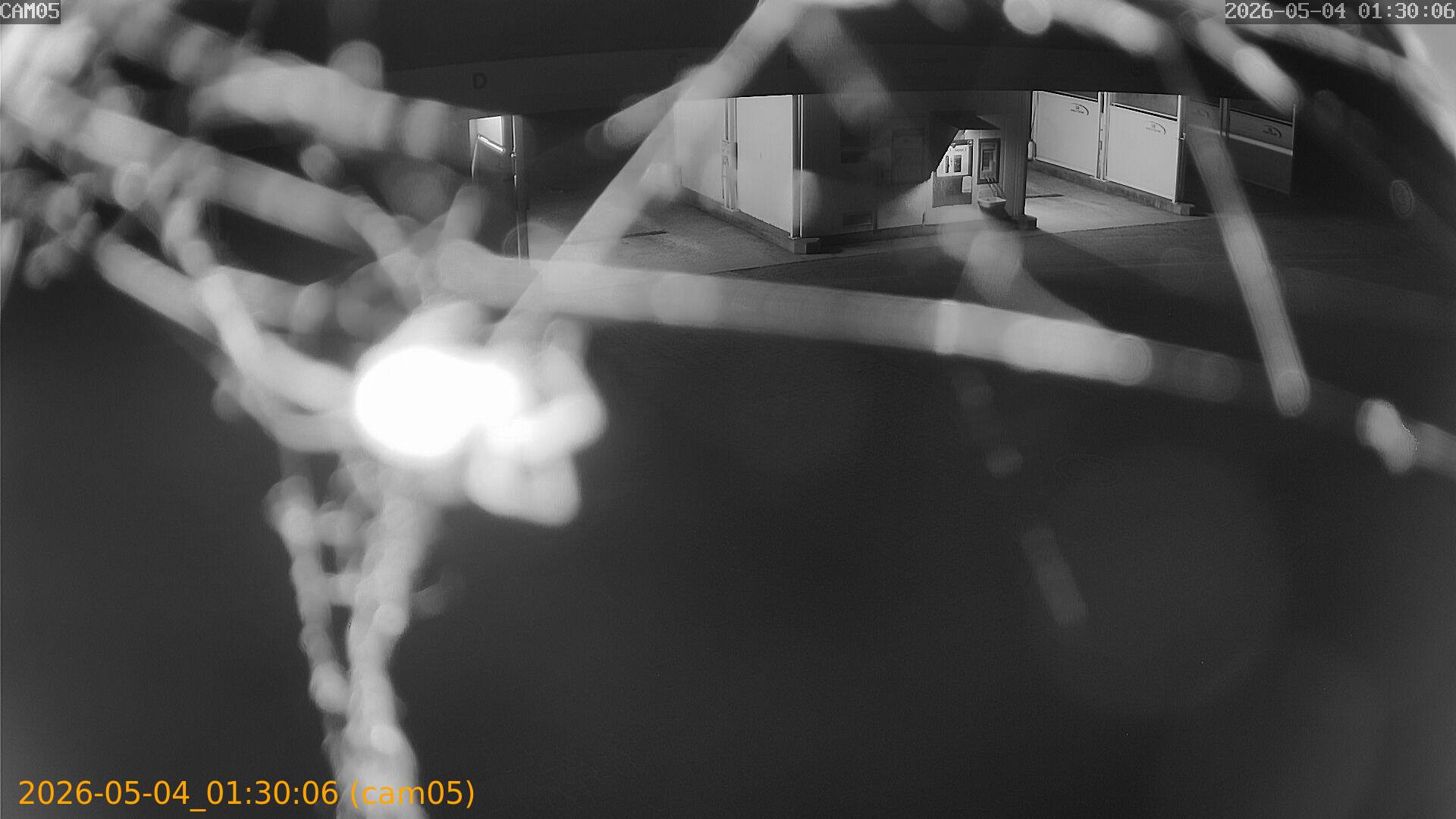 thumbnail_20260504013006