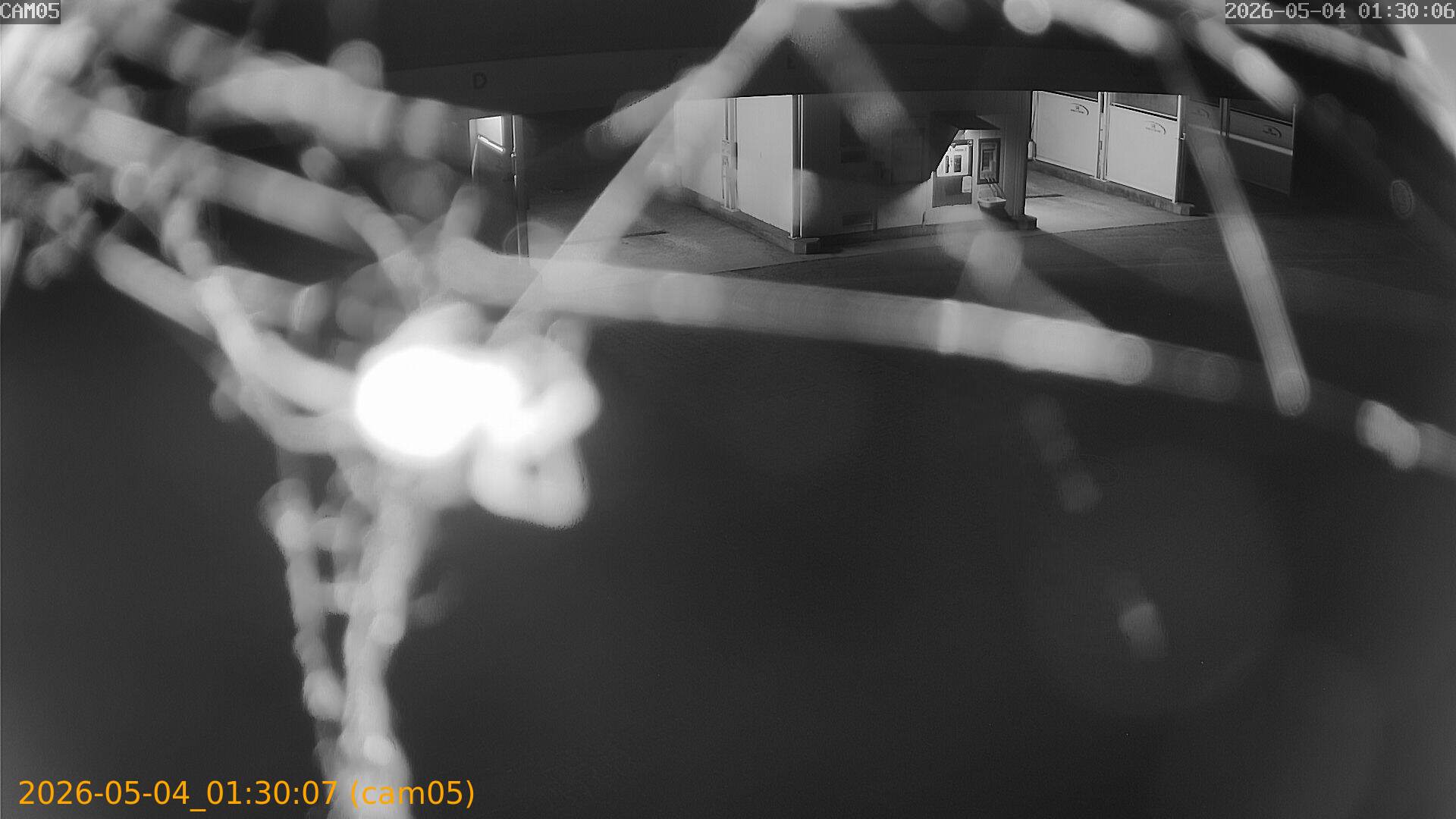 thumbnail_20260504013007