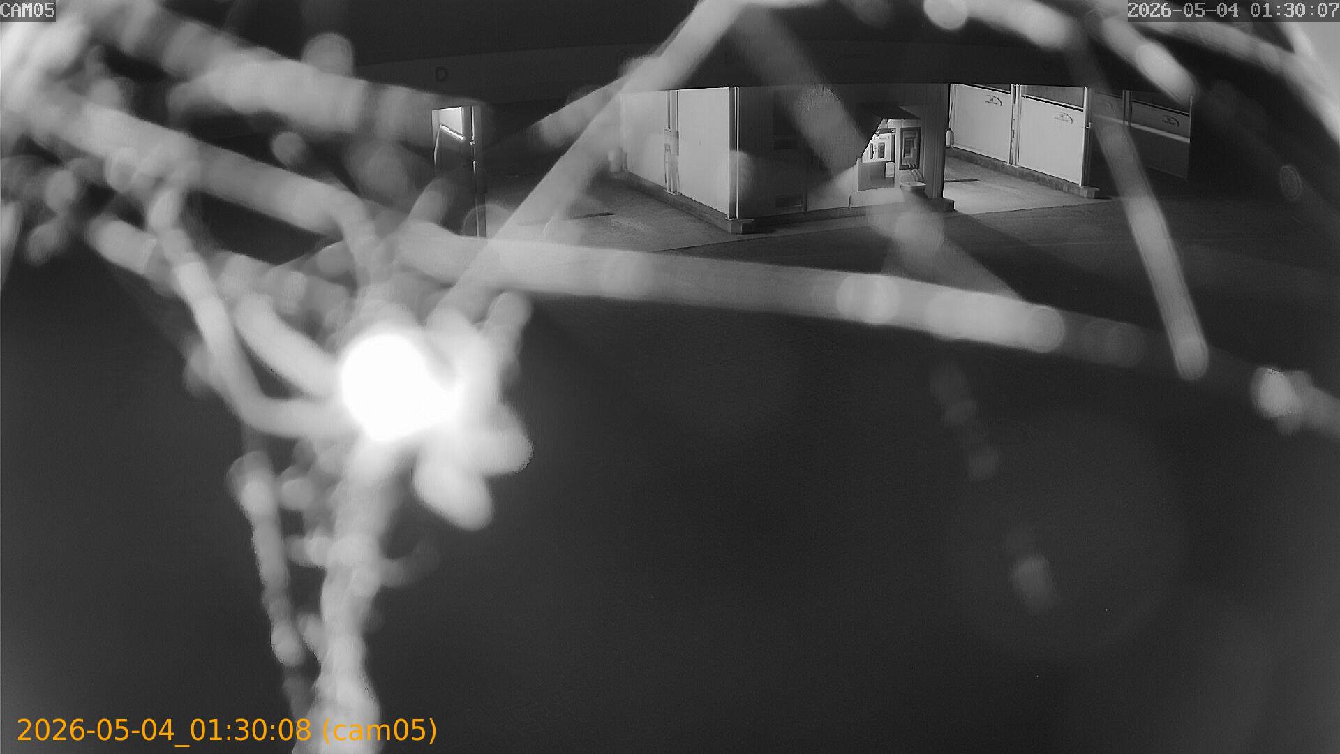 thumbnail_20260504013008