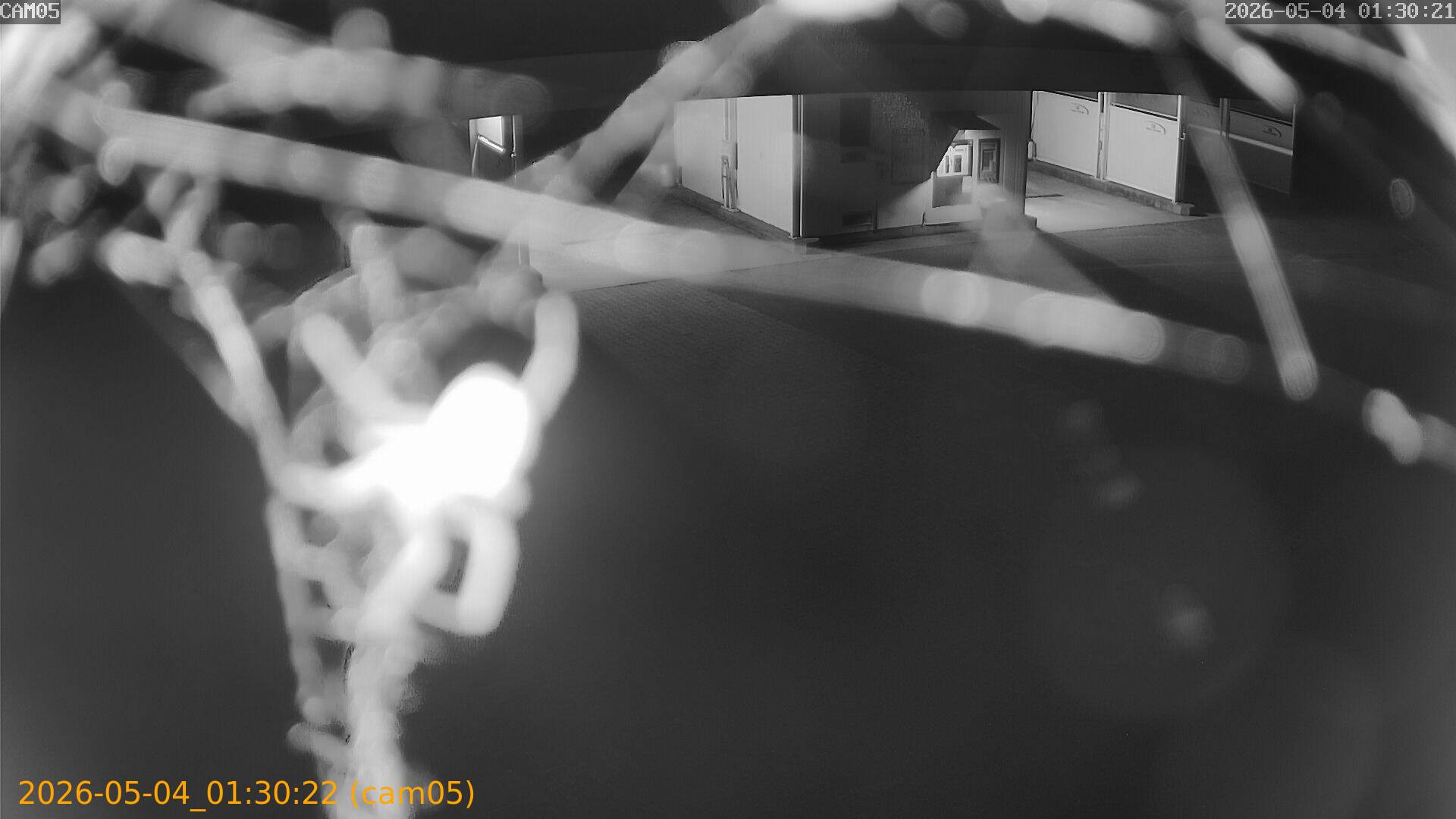 thumbnail_20260504013022