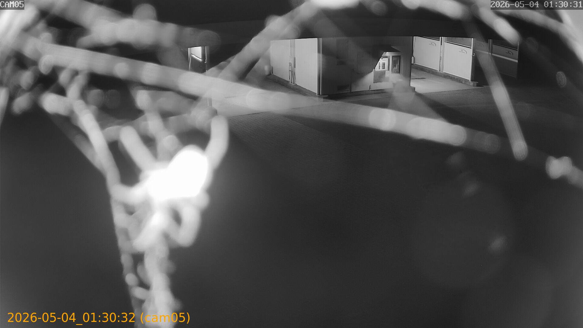 thumbnail_20260504013032