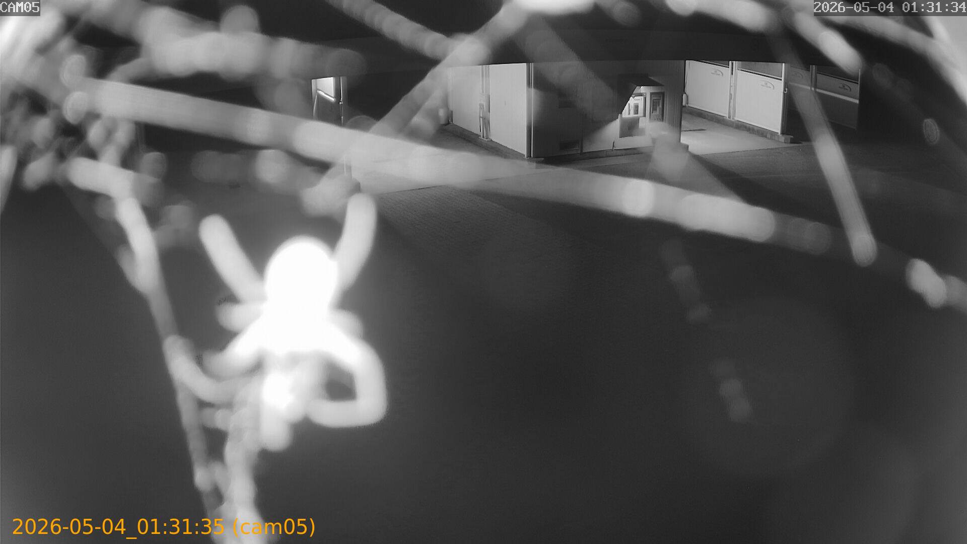 thumbnail_20260504013135