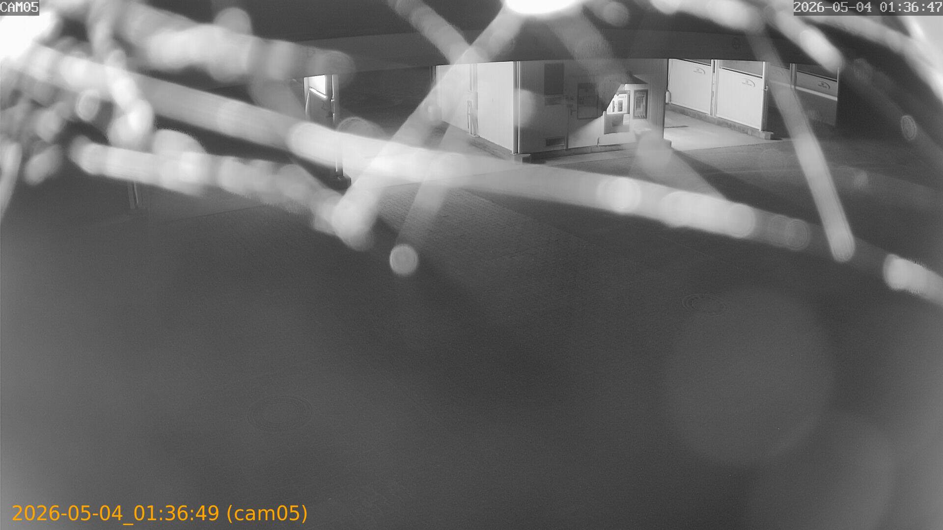 thumbnail_20260504013648