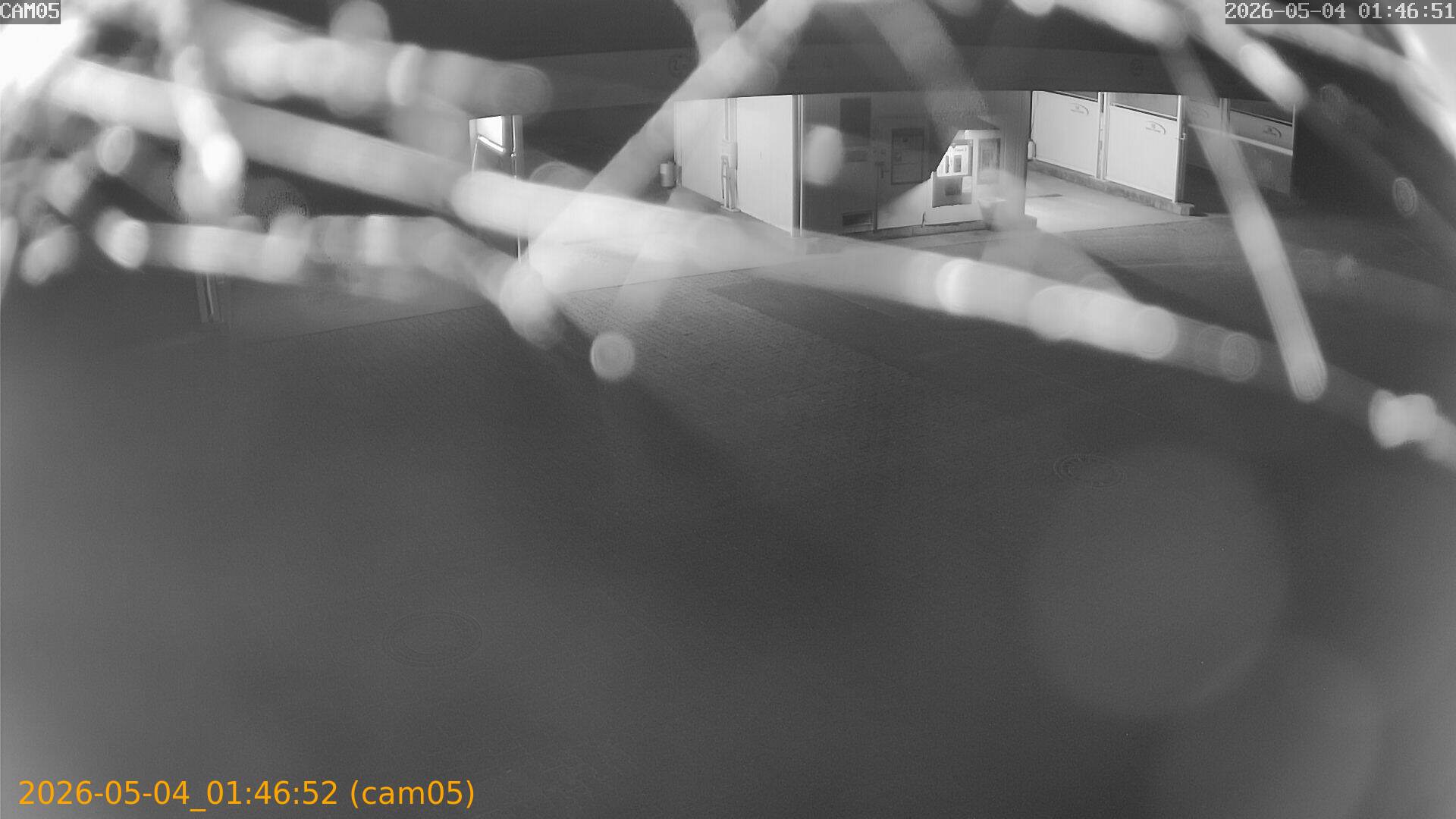 20260504014652