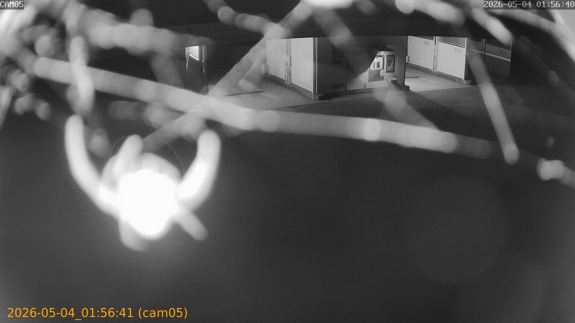 thumbnail_20260504015641
