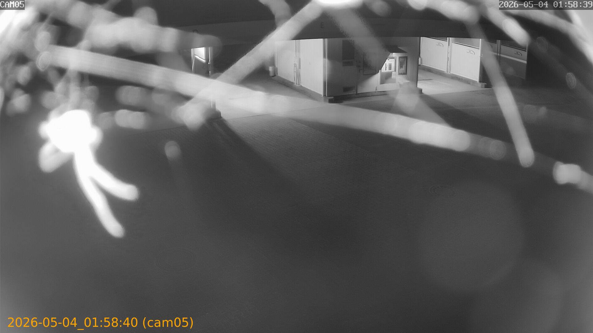 thumbnail_20260504015840