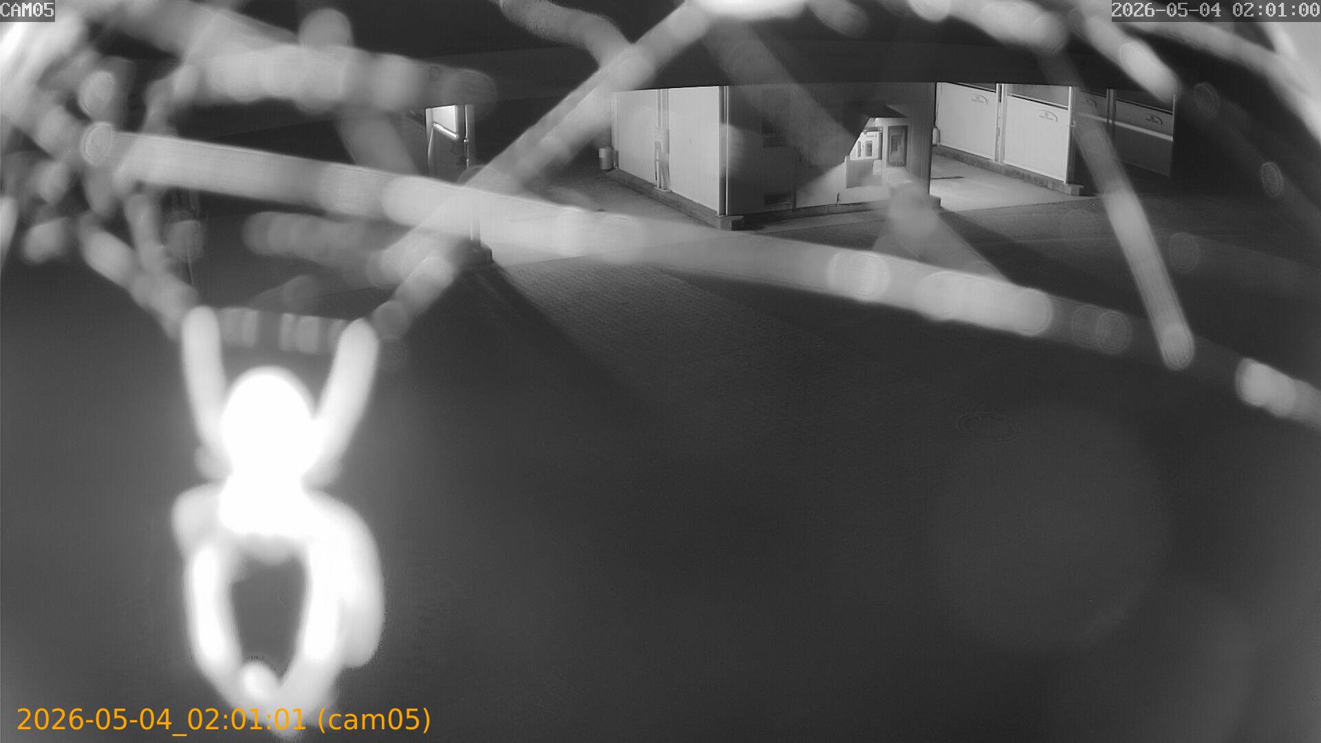 thumbnail_20260504020101