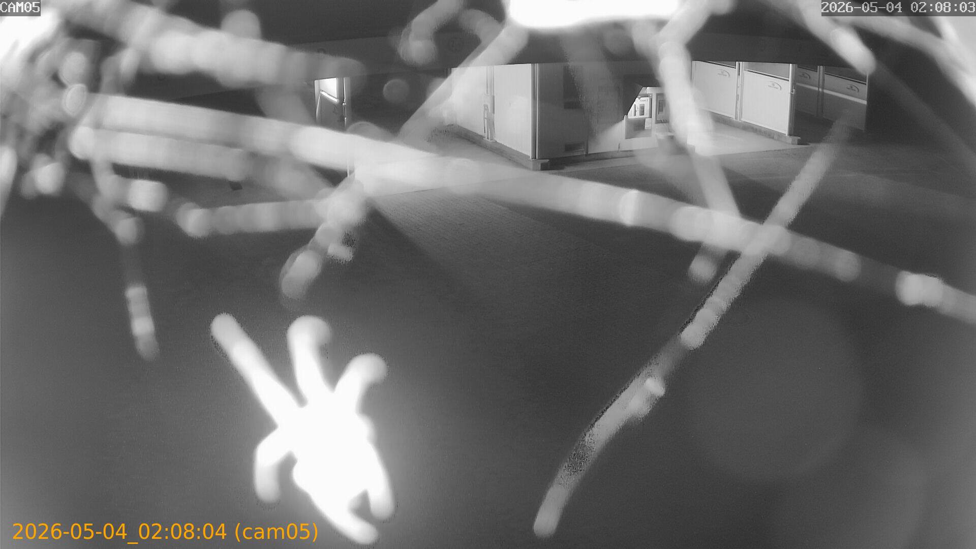 20260504020804