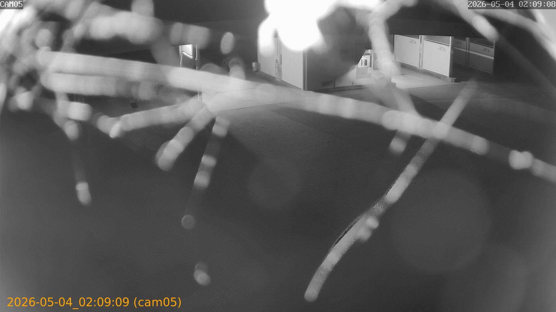 20260504020909