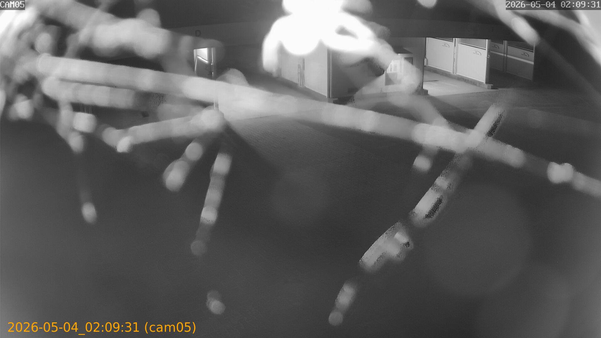 20260504020931