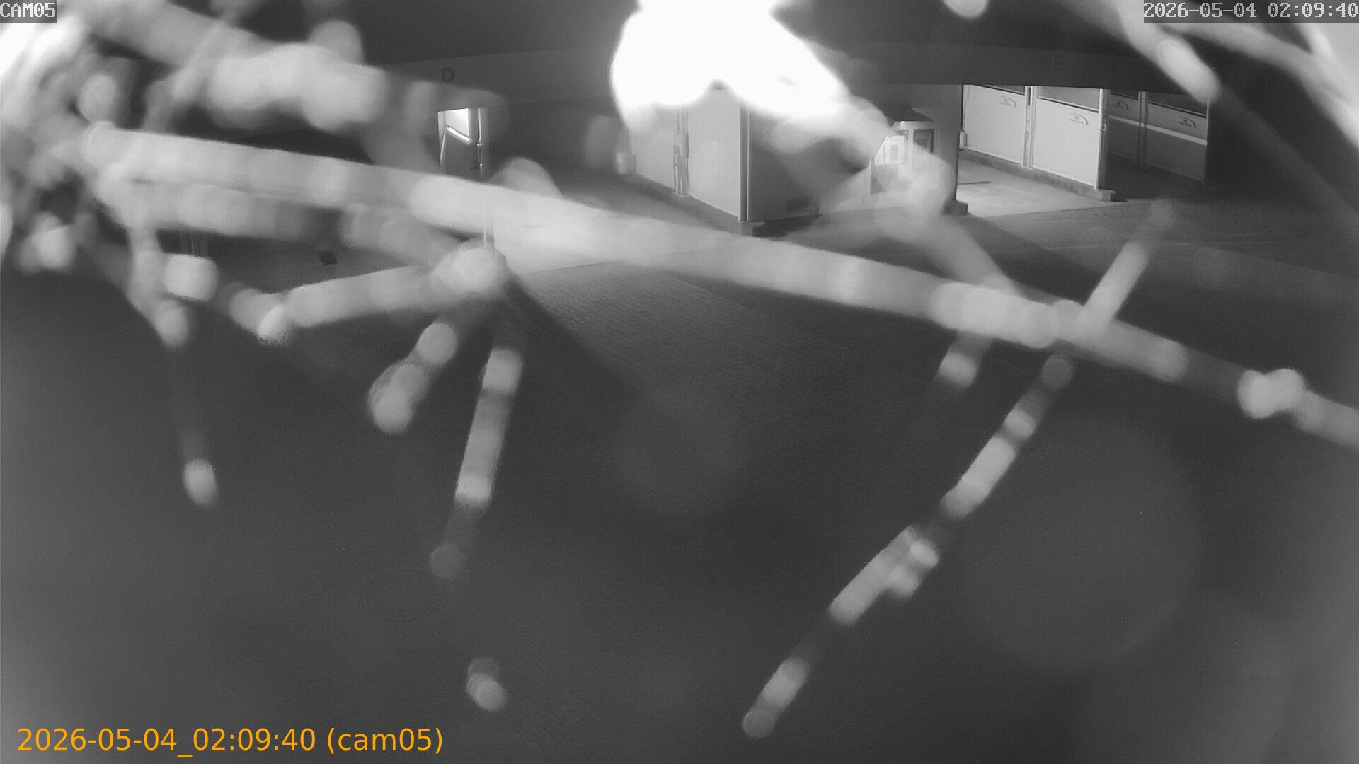 20260504020940