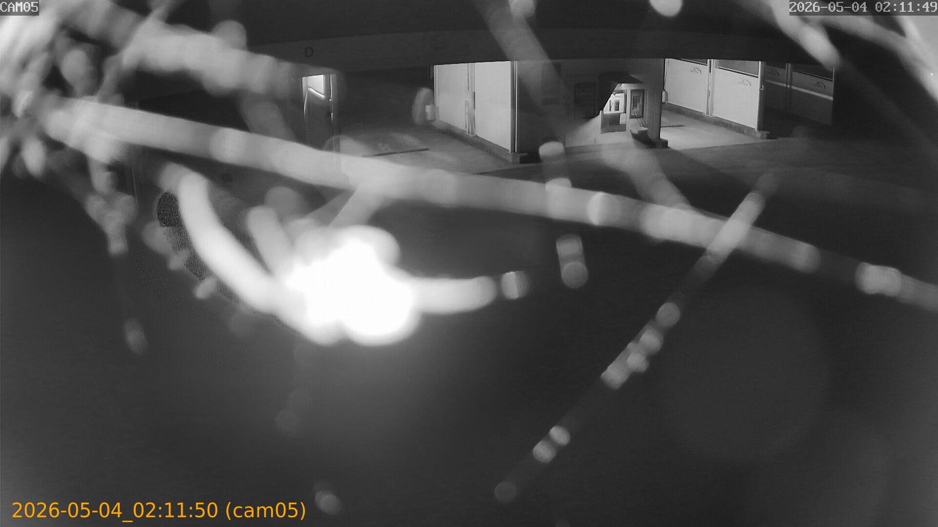 thumbnail_20260504021150