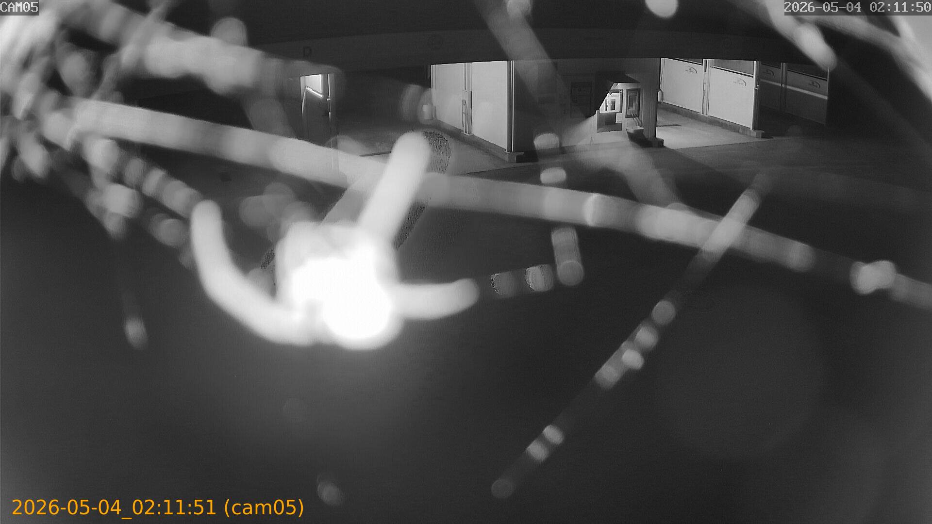 thumbnail_20260504021151