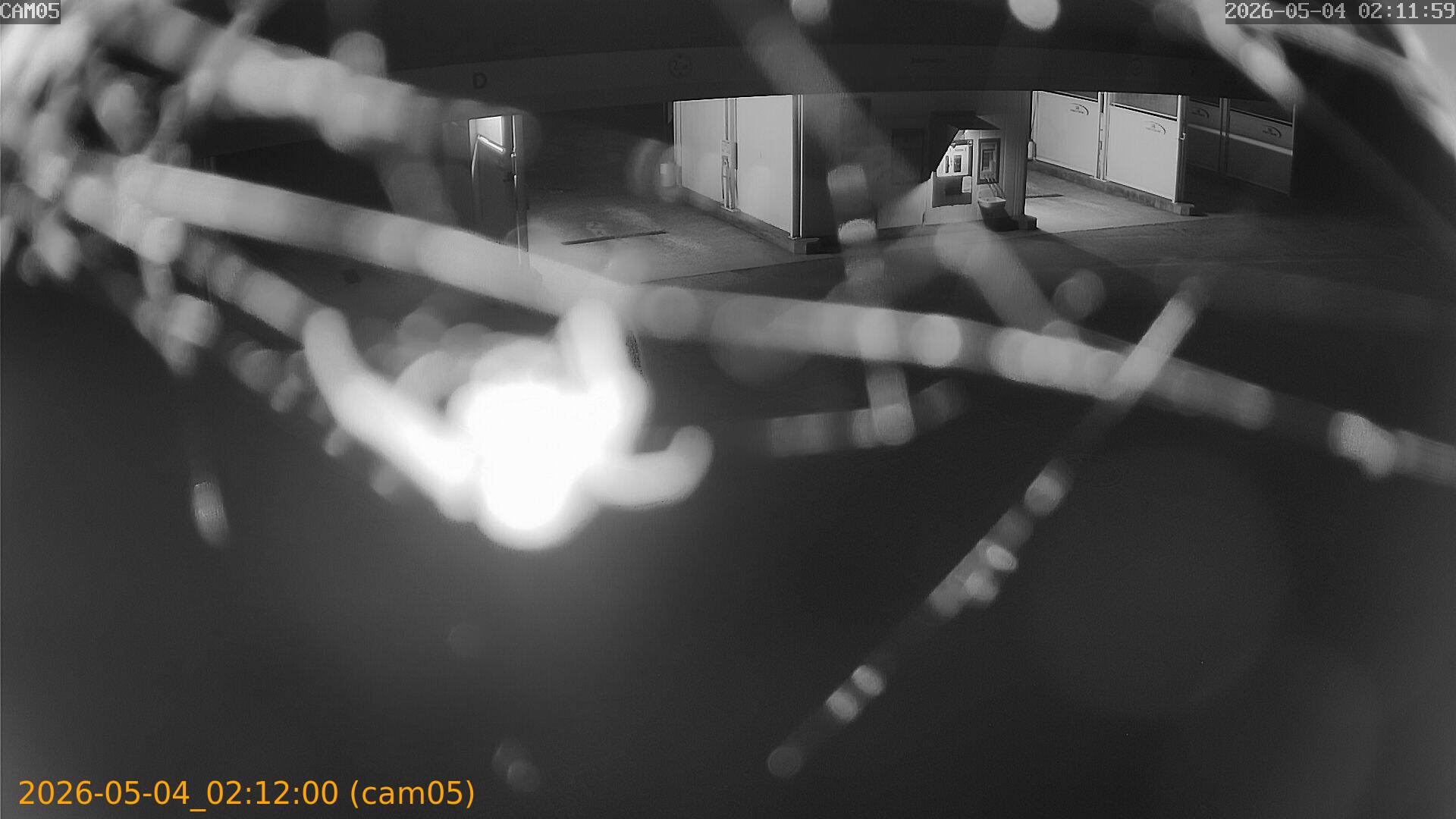thumbnail_20260504021200