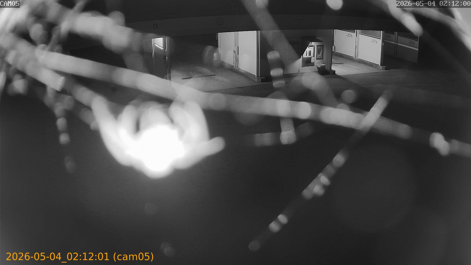 thumbnail_20260504021201