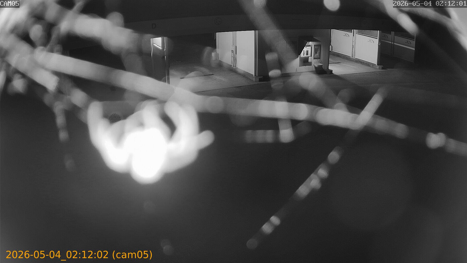 thumbnail_20260504021202