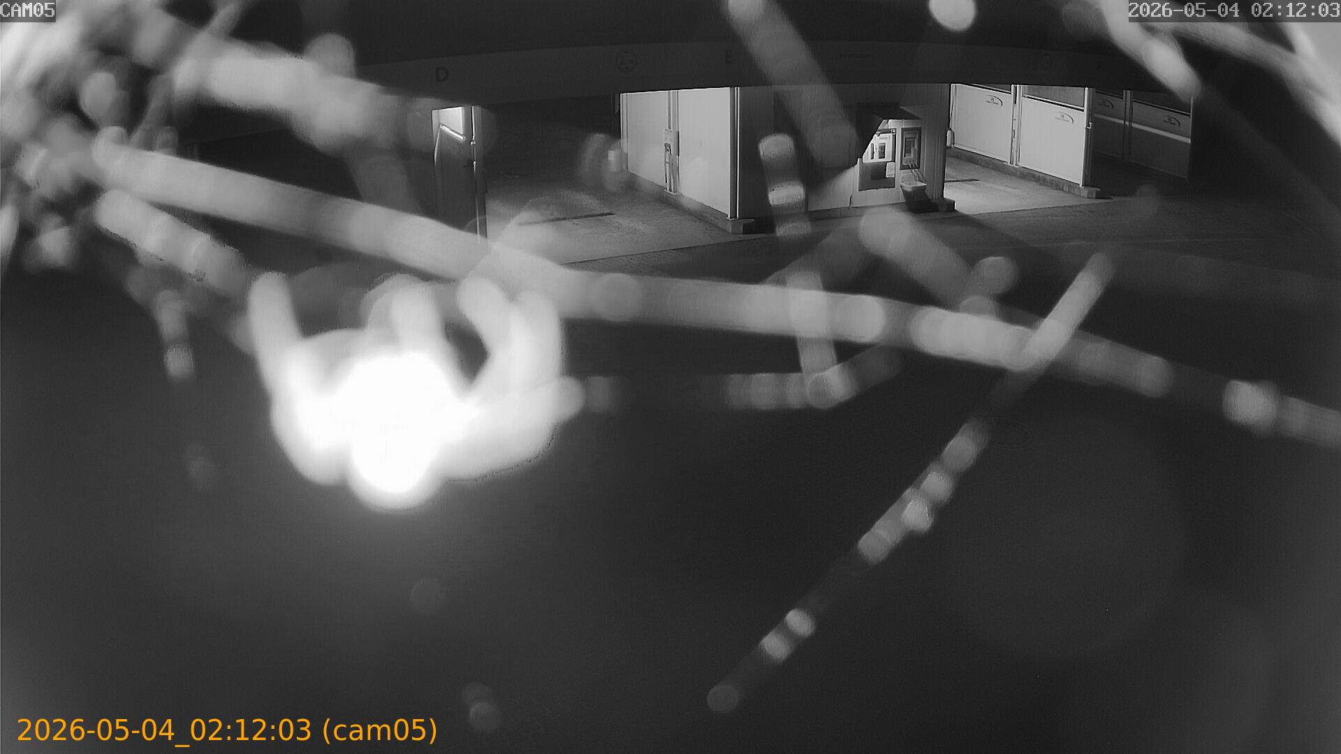 thumbnail_20260504021203