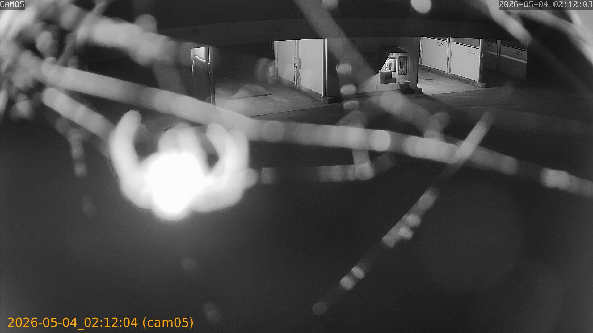 thumbnail_20260504021204