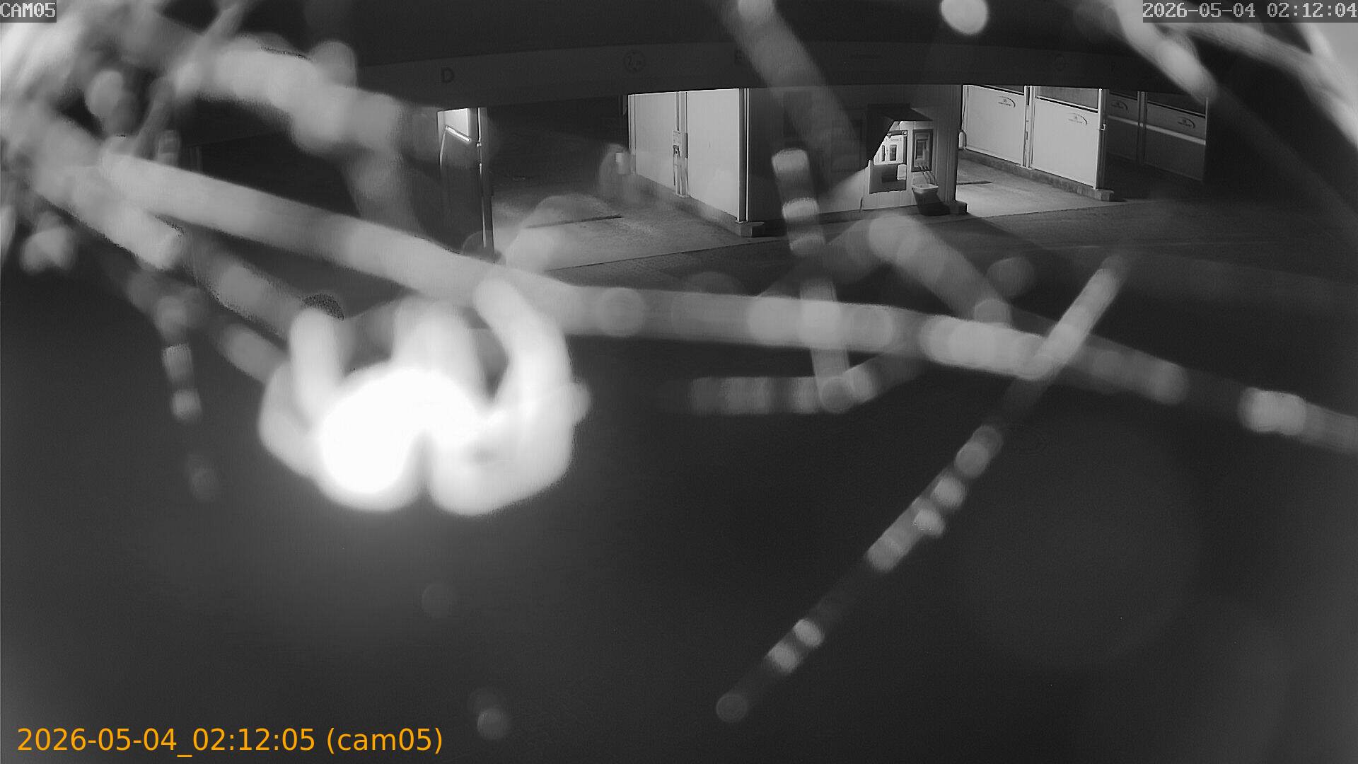 thumbnail_20260504021205