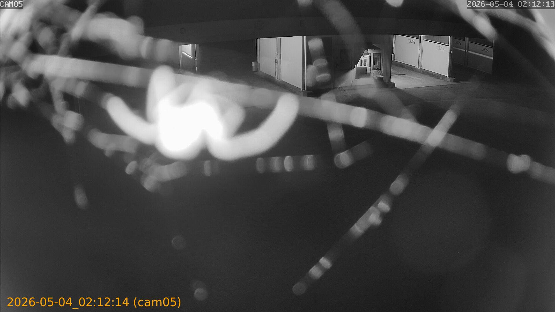 thumbnail_20260504021214