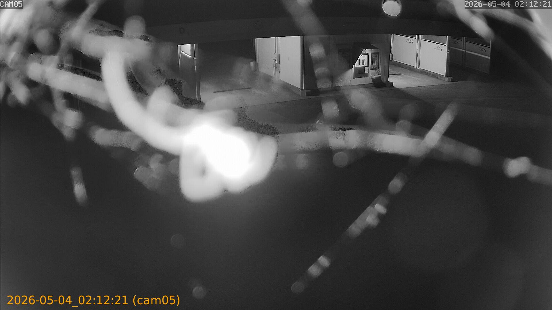 thumbnail_20260504021221