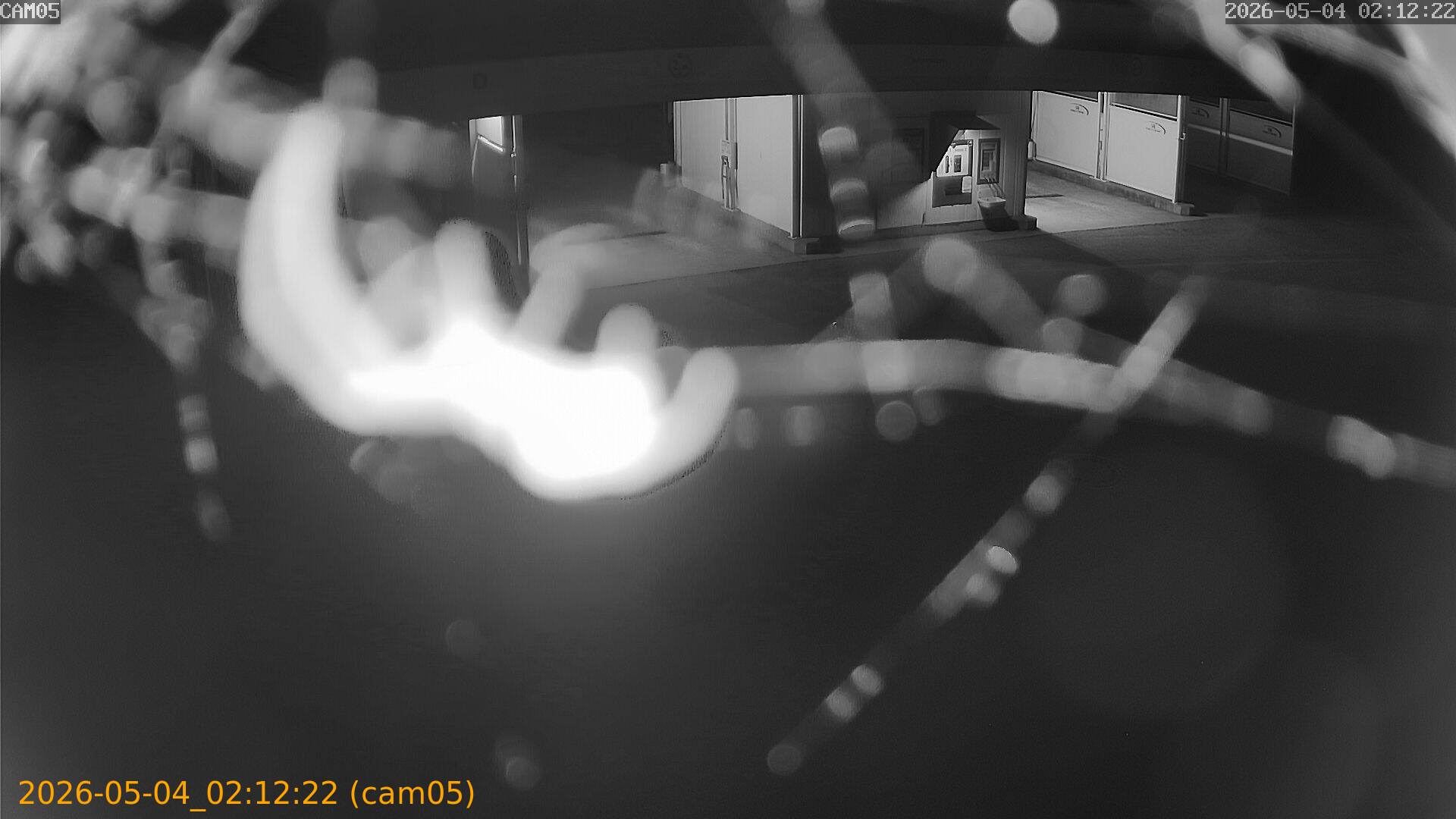 thumbnail_20260504021222
