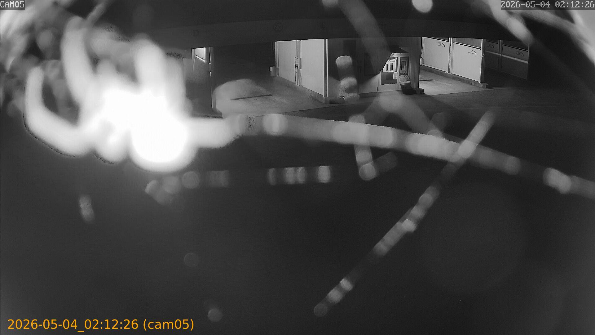 thumbnail_20260504021226