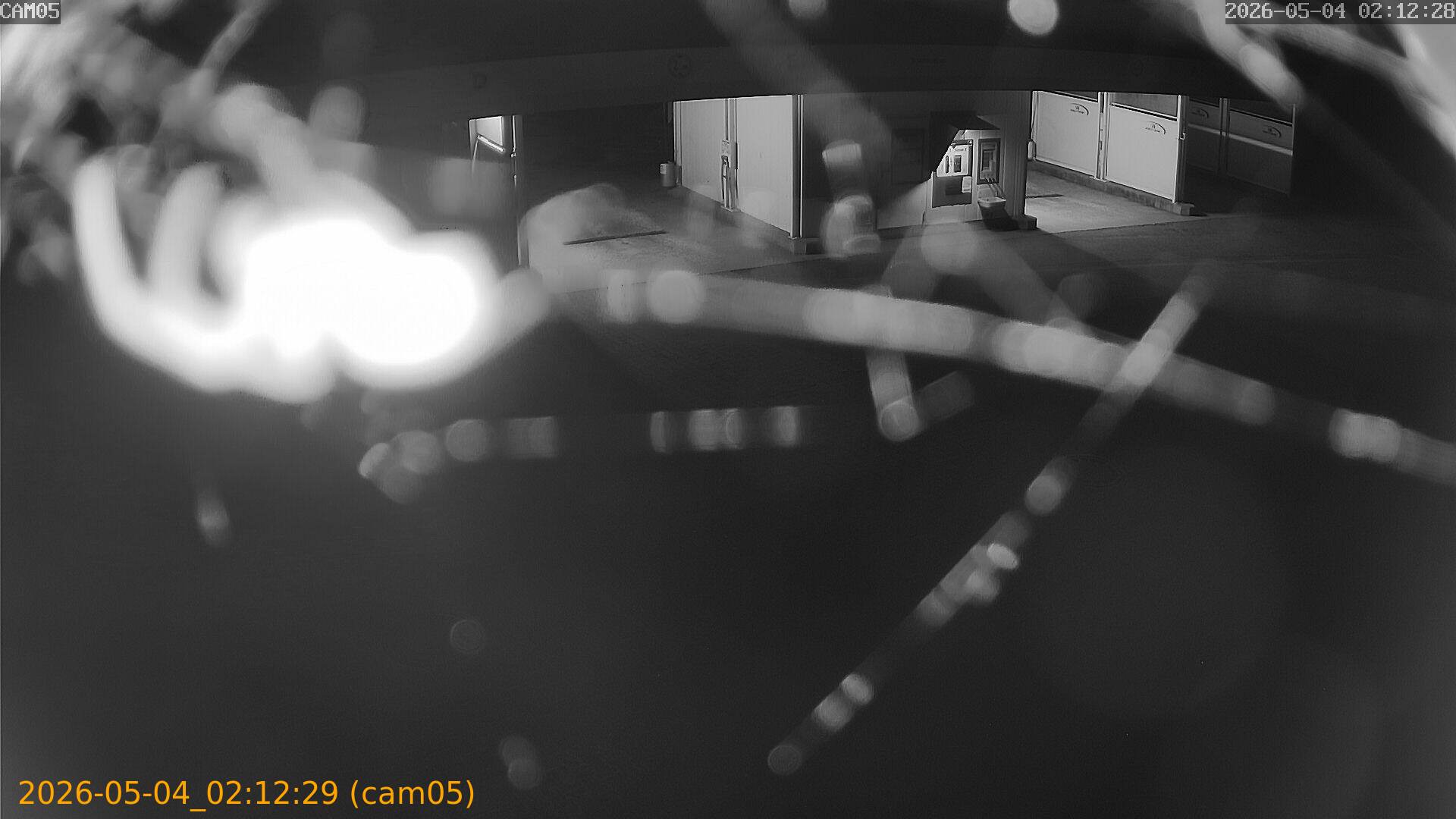 thumbnail_20260504021229