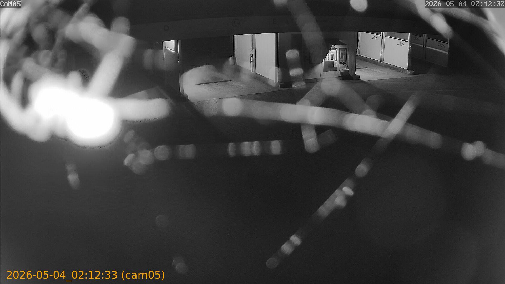 thumbnail_20260504021233