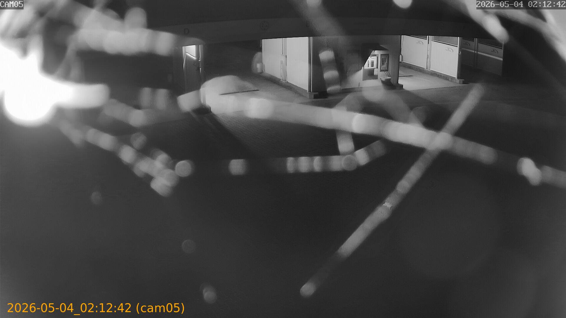 thumbnail_20260504021242
