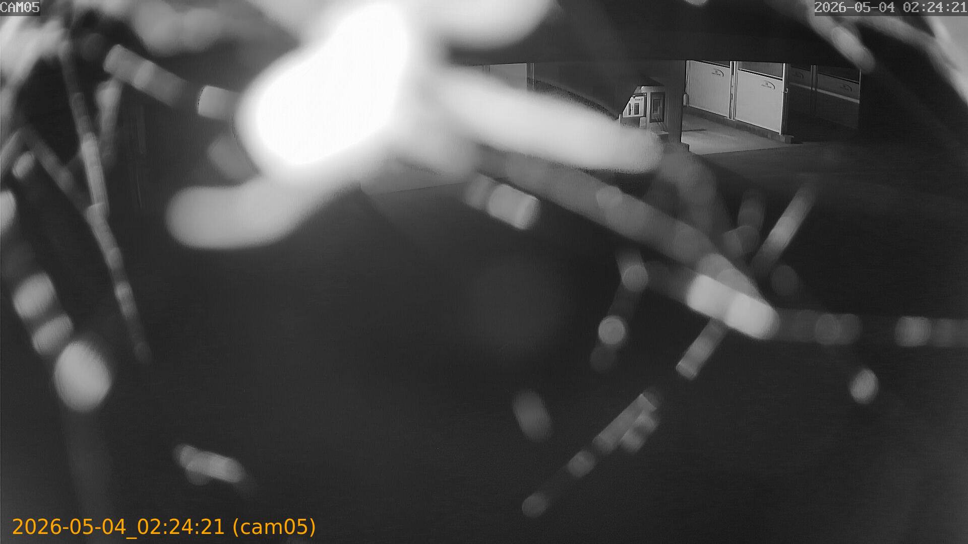 thumbnail_20260504022421