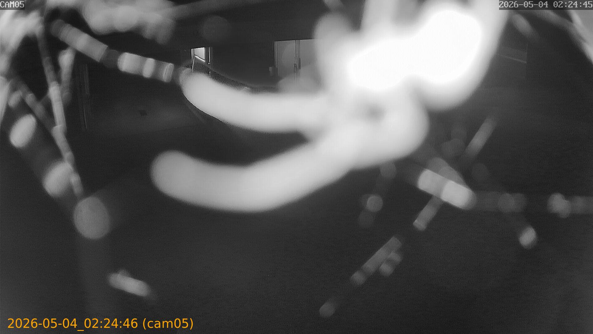 thumbnail_20260504022446