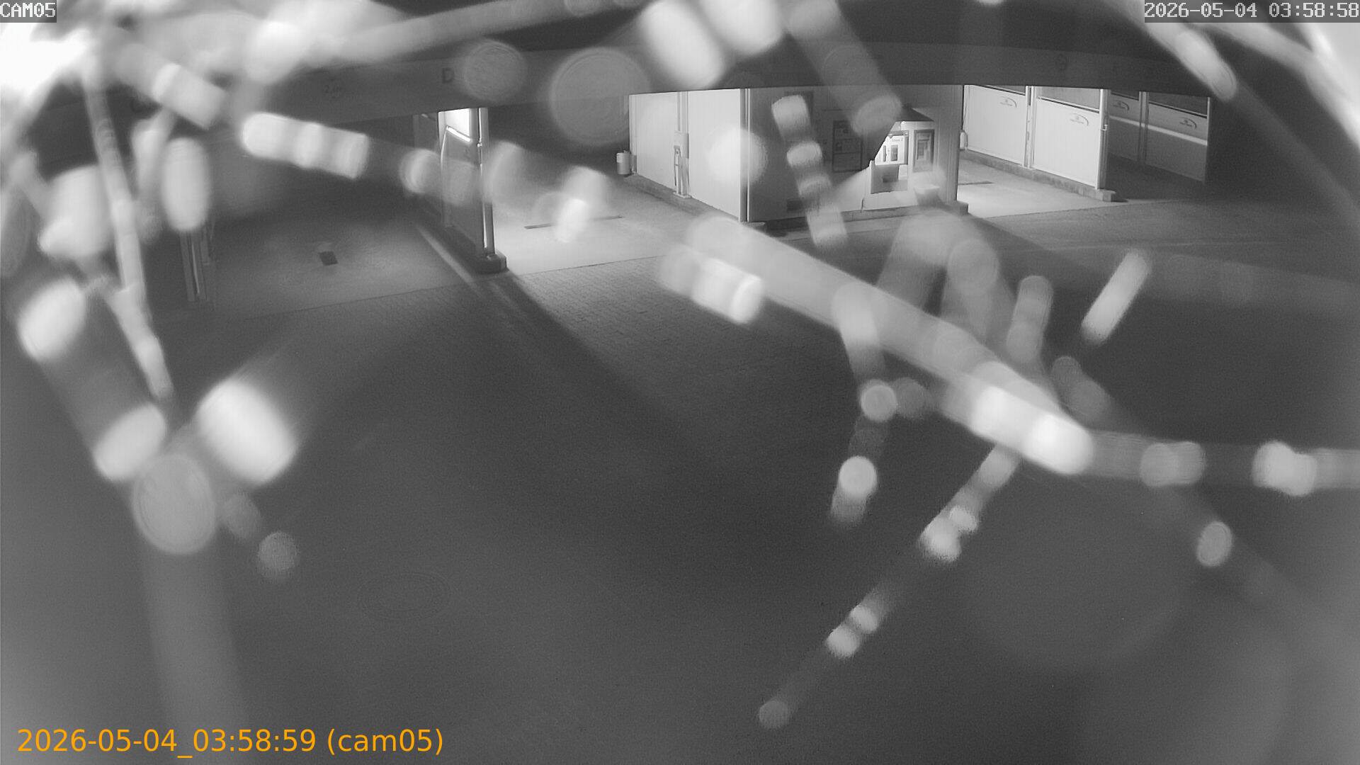 thumbnail_202605040358
