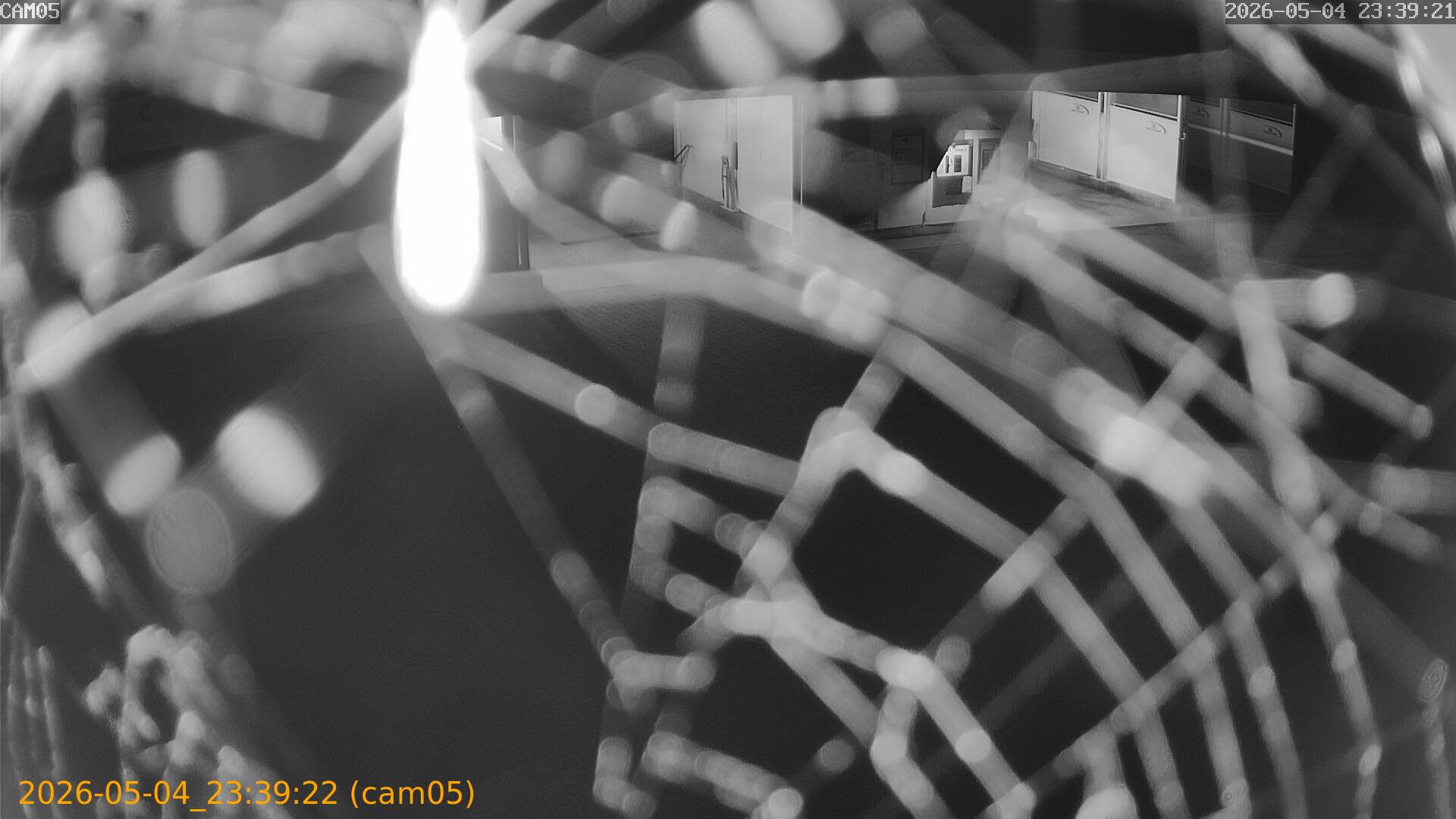 thumbnail_20260504233922