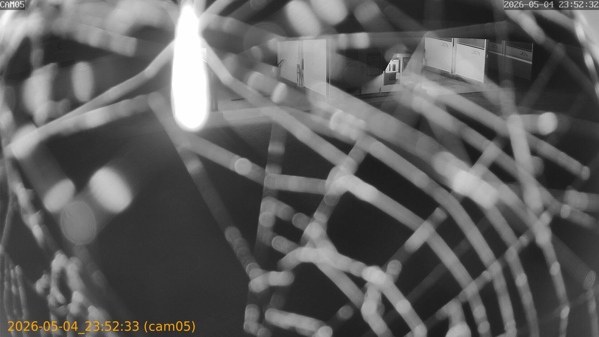 thumbnail_20260504235233