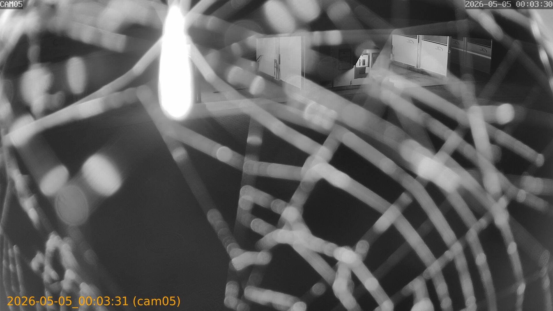 20260505000331